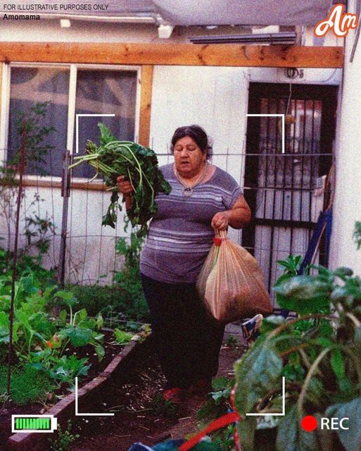 My neighbor repeatedly took fruits and vegetables from the modest garden I cultivated in my backyard